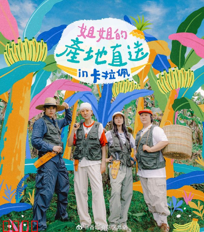 姐姐家的产地直送3:乡土情仇