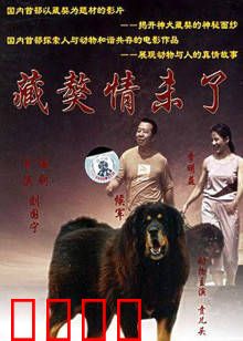 藏獒情未了:人狗情深