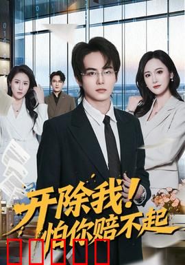 开除我!怕你赔不起:职场黑马
